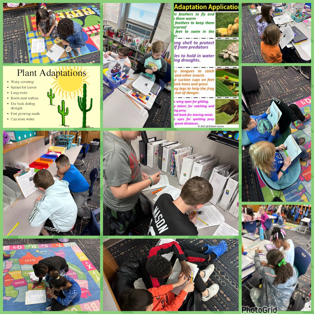 TheMrDeWitt89's tweet photo. After watching a brief video on plant/animal adaptations, we are partner reading two passages about both and using text evidence to prove our answers. 🌱 🌵 🦒 🦔 @RobeyRockets #wearewayne #contentliteracy https://t.co/YcNKrqn22i