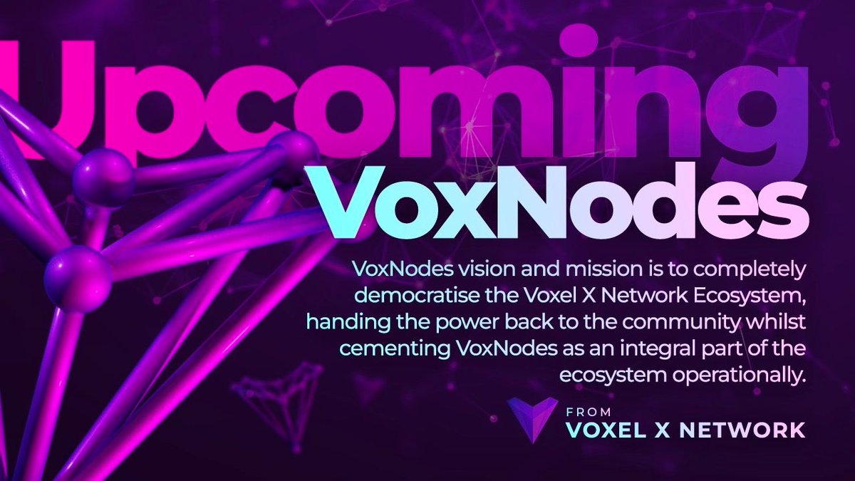 Voxel X Network tweet media