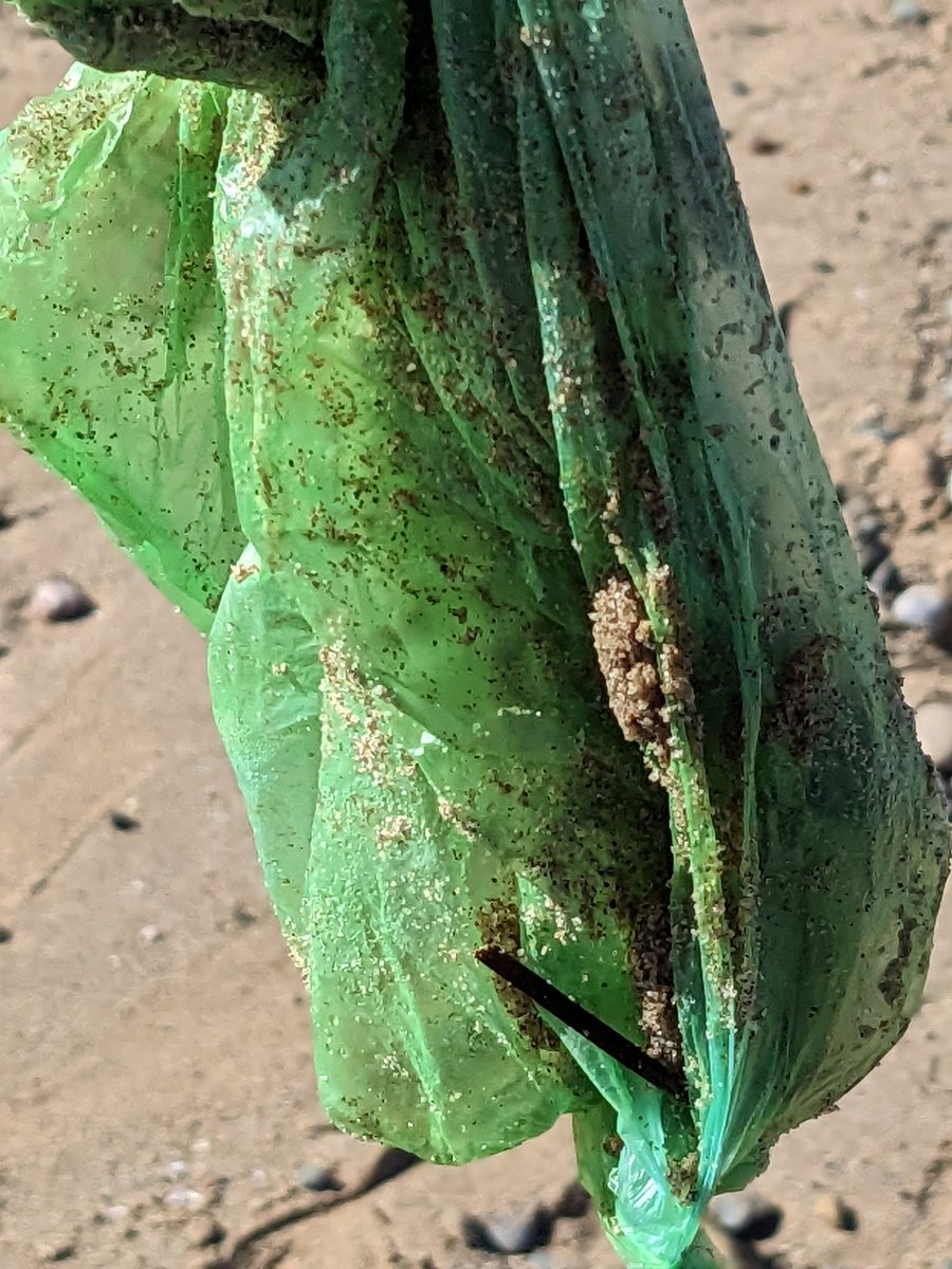 pickerteers's tweet photo. @2minuteHQ Lazy #Easter littering 🚮♻️🌊🌍
  So much rubbish including drinks left where people sat with a bin behind. Sunglasses freshly broken left by the steps. Where are we going wrong? #beachclean #litterpicking #environment #society #GoodFriday https://t.co/GhzAN0mrM3