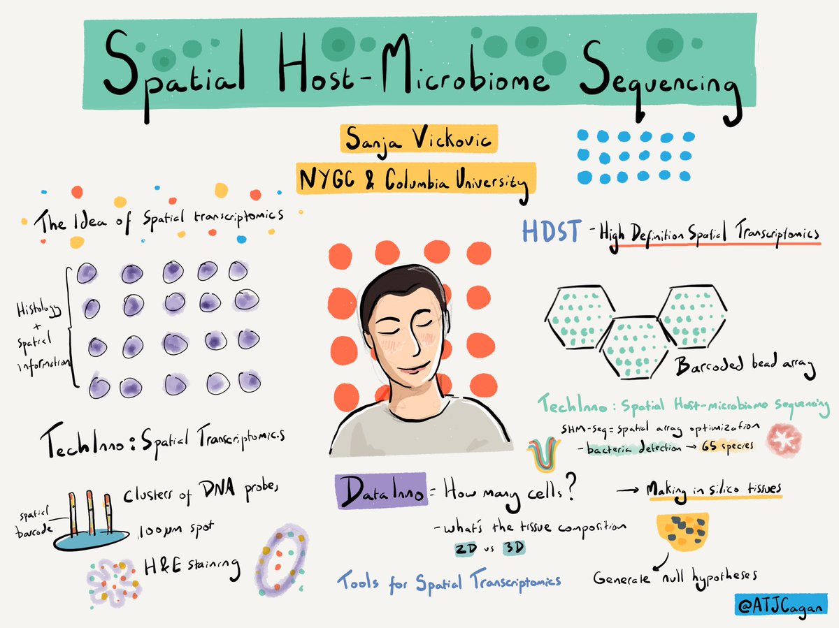 Spatial host-microbiome sequencing using spatial transcriptomics @mssanjavickovic #singlecellgenomics