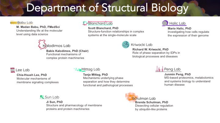 We are looking for new faculty members who want to pursue bold and creative science in an open, collaborative environment.

Applicants in all areas of #biophysics and #structuralbiology are welcome. Come join our exceptional faculty!

talent.stjude.org/careers/jobs/1…
Please RT