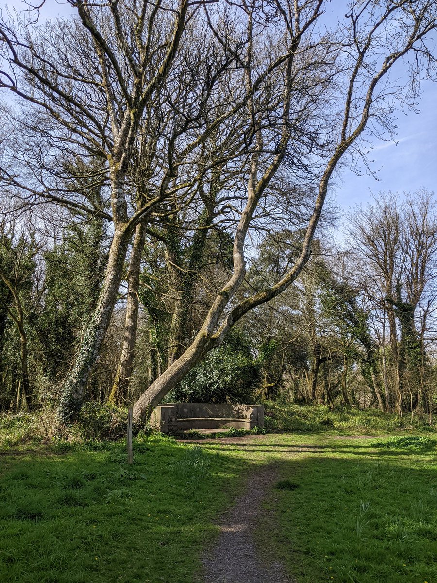 daveainsworth63's tweet image. Stackpole Court this afternoon in Pembrokeshire #Stackpole #Pembrokeshire 🏴󠁧󠁢󠁷󠁬󠁳󠁿