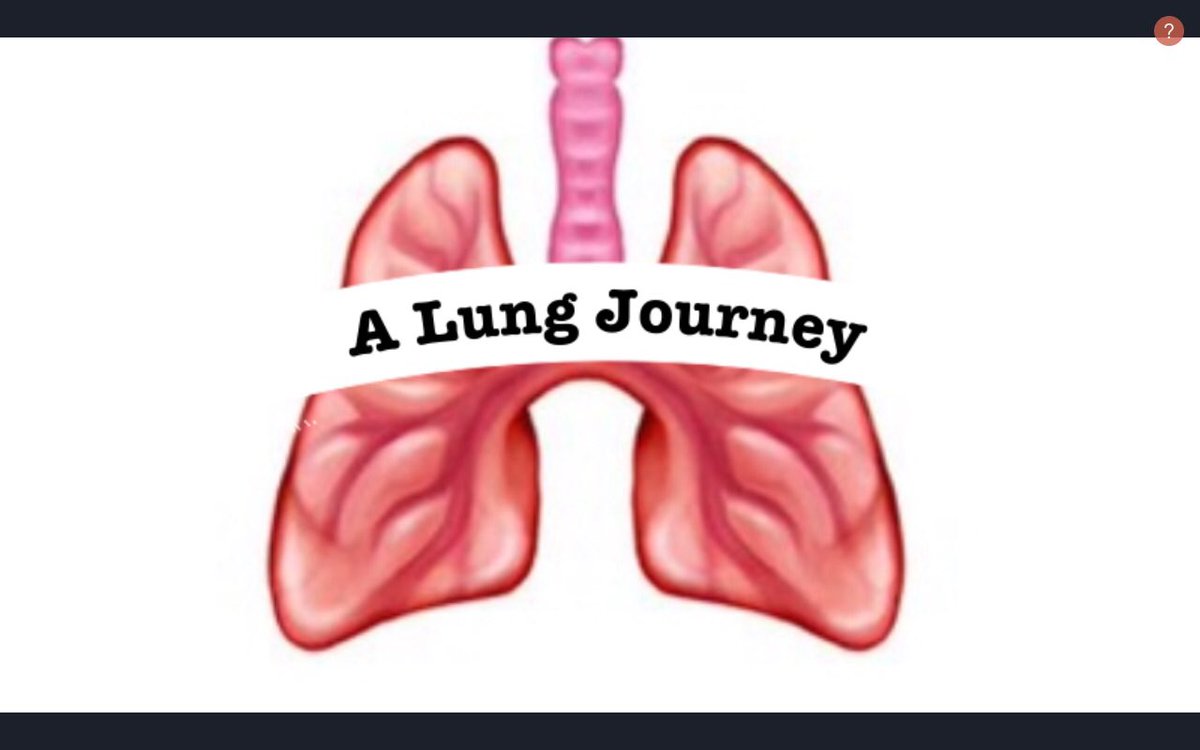 A few years ago an unknown person gifted their #lungs to me. A complete stranger! I am so #grateful. #Organdonation is such a #selfless act. Below is a video chronicling my journey. In me, my donor still lives. 💚🙏💚 #BeADonor #GreenShirtDay >>> youtu.be/-edADRv21ic <<<