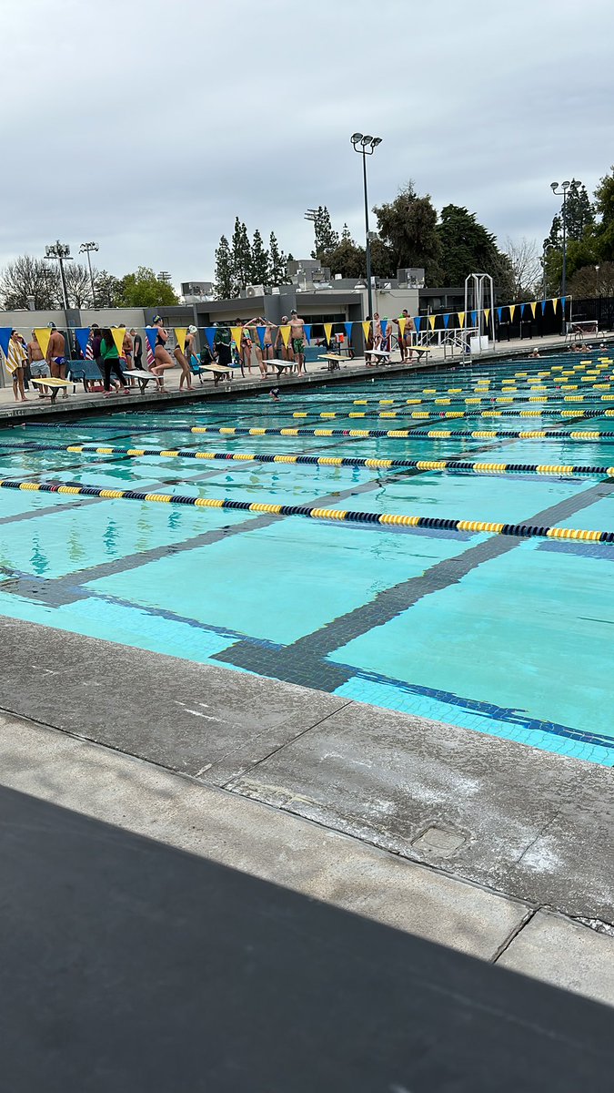 CRUSH Swim & Dive tweet media