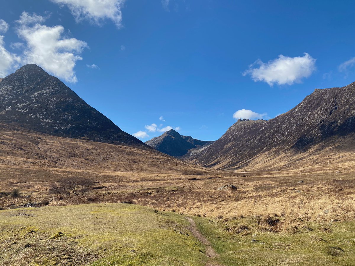 Dr Pamela Campbell tweet media