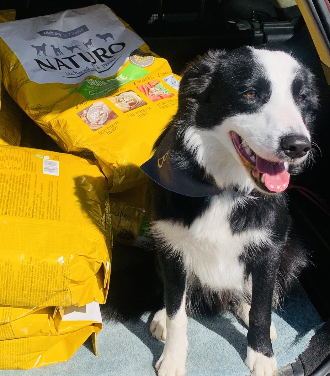 sardain1978's tweet image. Trainee USAR dog Buzz is delighted to receive our latest delivery from @naturopetfood
Our Search Dogs are fuelled by #naturopetfood 🐾🐾

#searchdogs #bordercollie #yummyyummy #delivery #happy #dogsoftwitter