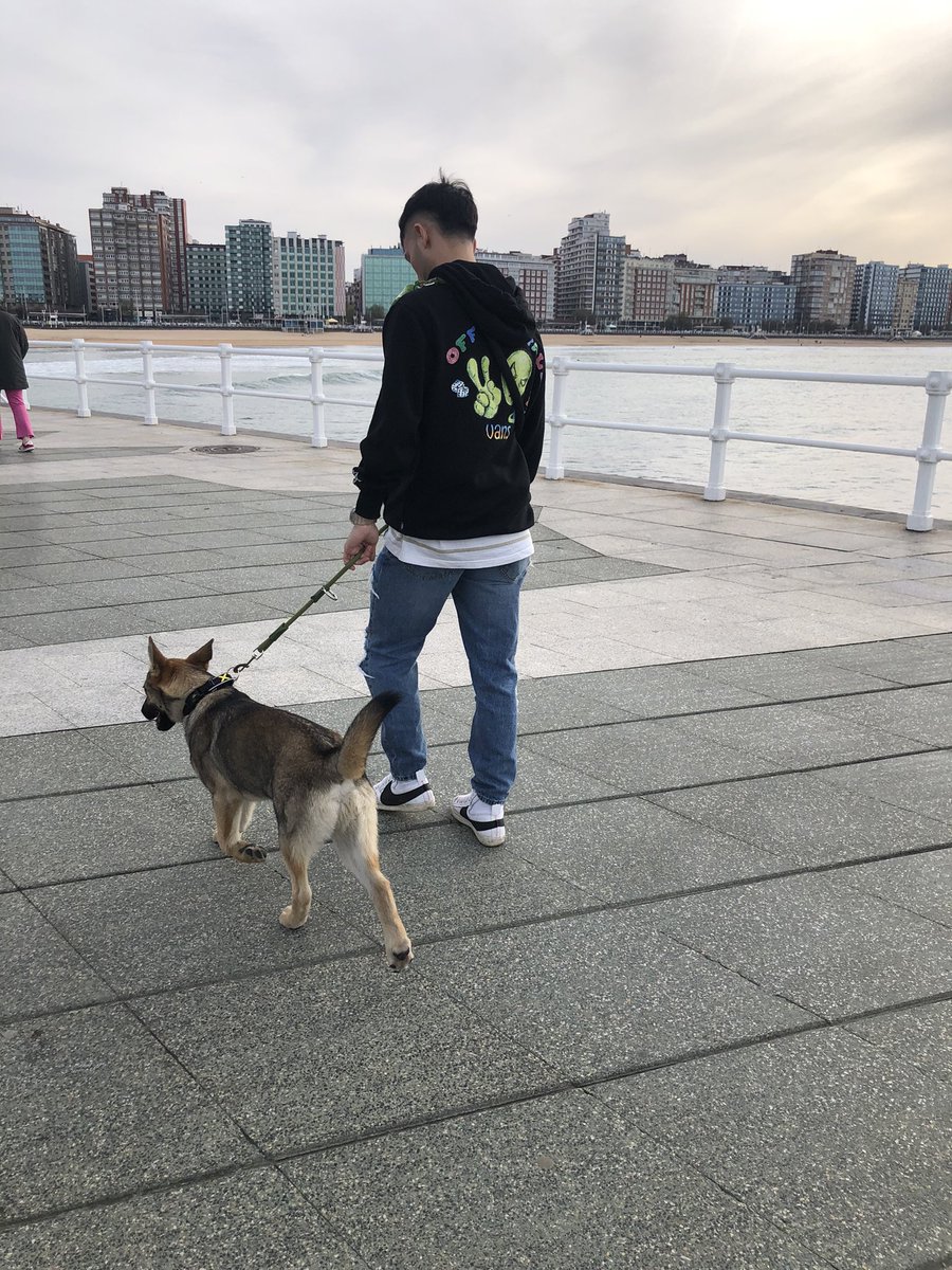 aleirao's tweet photo. Paseando al DogSon https://t.co/Tv2ygijKdI
