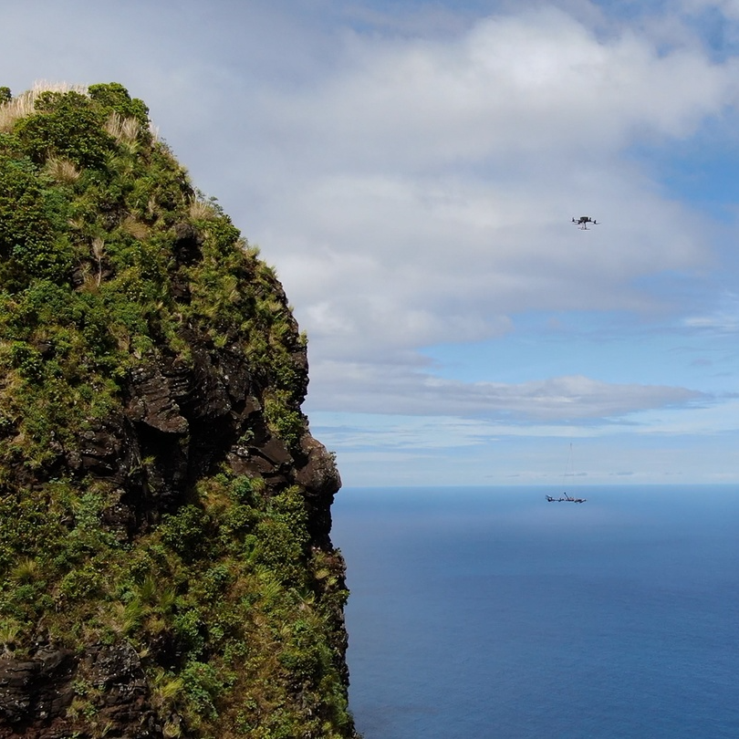 National Tropical Botanical Garden tweet media