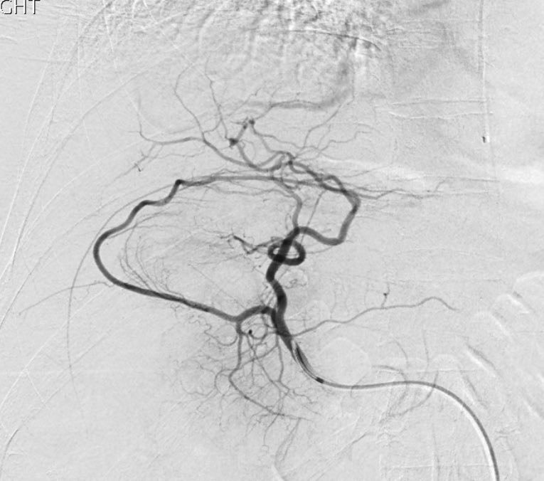 Osman Ahmed tweet media