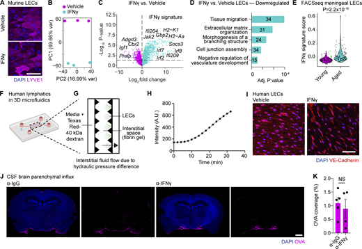 John Lukens tweet media