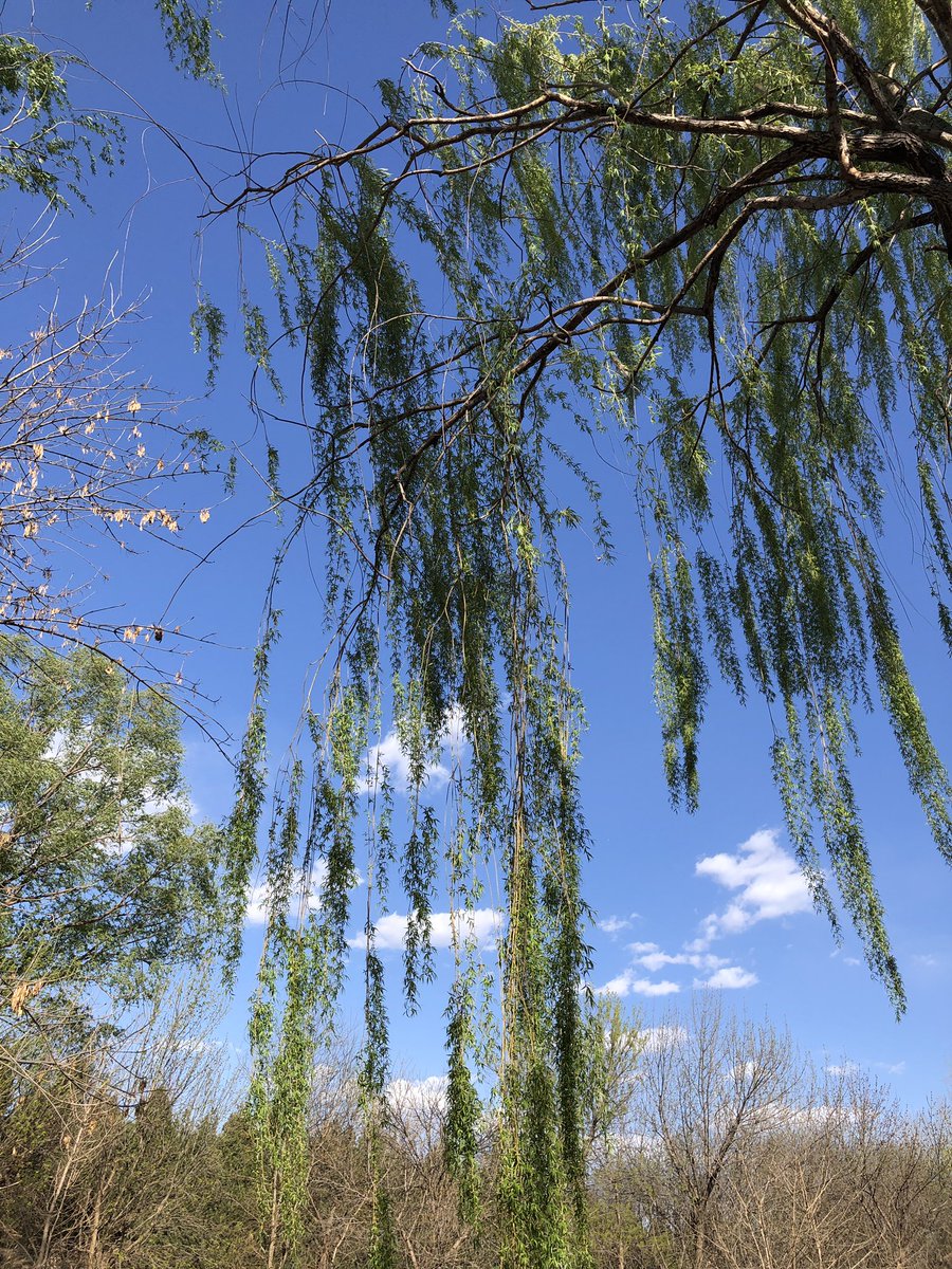 云走了飘远了随心所欲了～