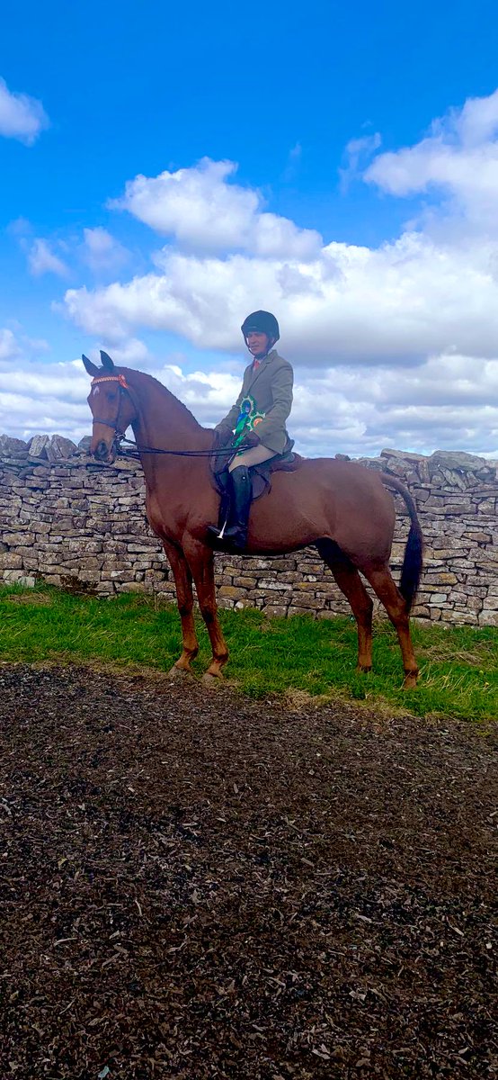 Great day at #middlehamopenday with Definitly Red winning the @RoRlatest in-hand and 2nd in the @RoRlatest amateur ridden on his first day out of season @Racingwelfare @AintreeRaces @TheJockeyClub