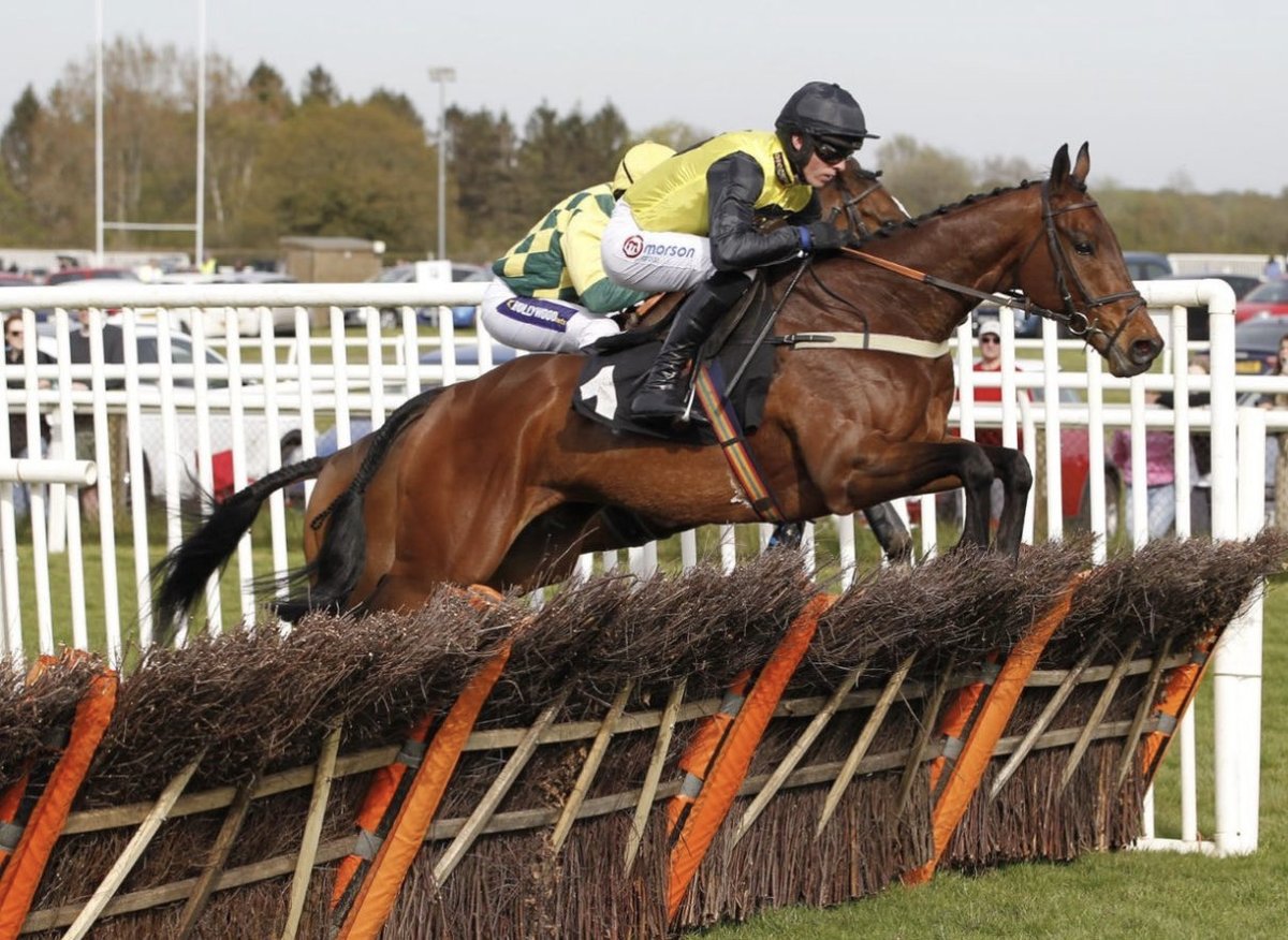 betgoodwinuk's tweet photo. £500 GIVEAWAY! One year ago Aucunrisque won the Sussex Champion Hurdle ⁦@plumptonraces⁩ for trainer ⁦@Chrisgordonrac1⁩ . If he wins the race again on Sunday one of you lucky punters gets £500: just follow + retweet to enter (over18’s) https://t.co/iMSSCzRNXz