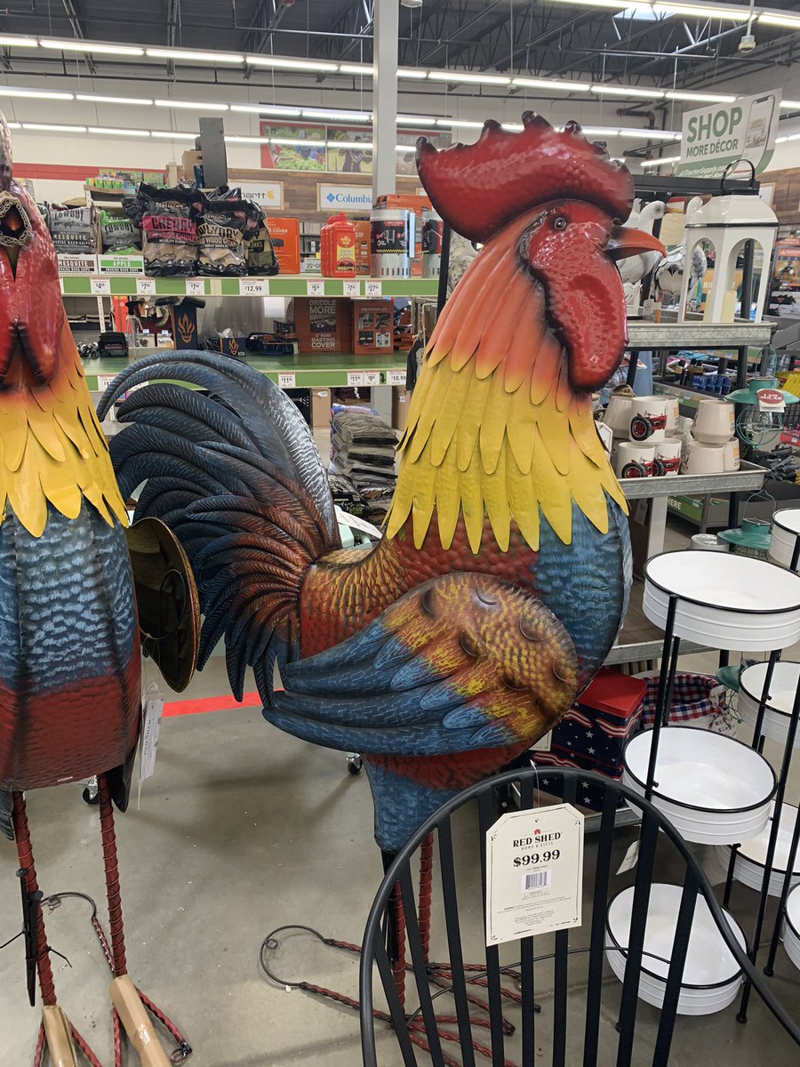 Wow48states's tweet photo. @lizzy15xo Look random cock pic. Don’t block me https://t.co/N3TFuprqCp