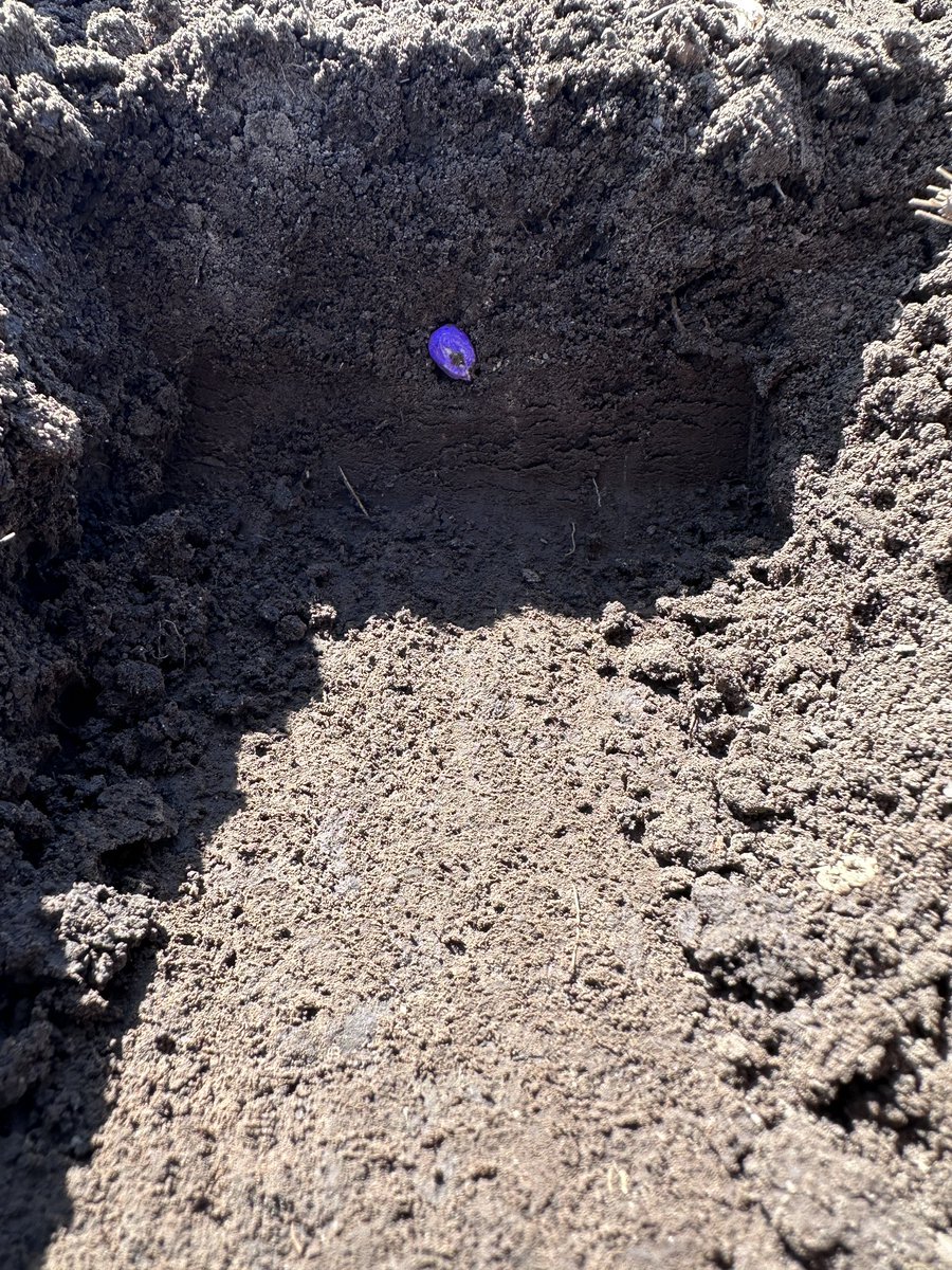 Dialed in and ready for #plant23