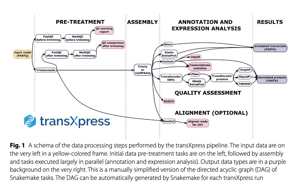 strnr's tweet photo. transXpress: a Snakemake pipeline for streamlined de novo transcriptome assembly and annotation https://t.co/4yiJCGgDL3  https://t.co/zURh81HKyZ https://t.co/W4i6UM1Ydw