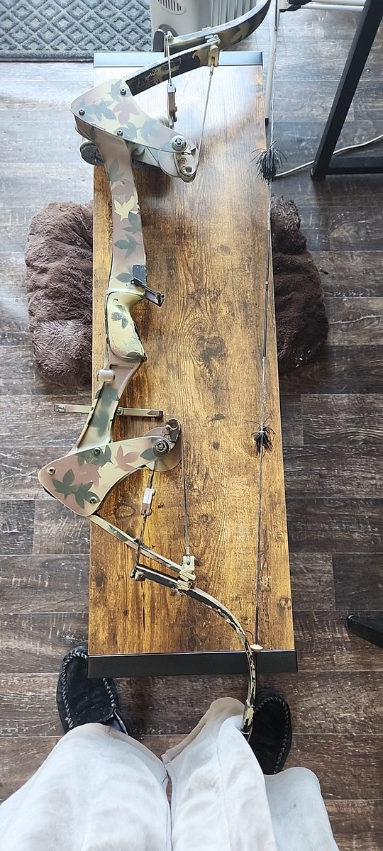 dillon_haman's tweet photo. @tboneoutdoors Let me just go grab my bow.. https://t.co/pXqb8G6P5K