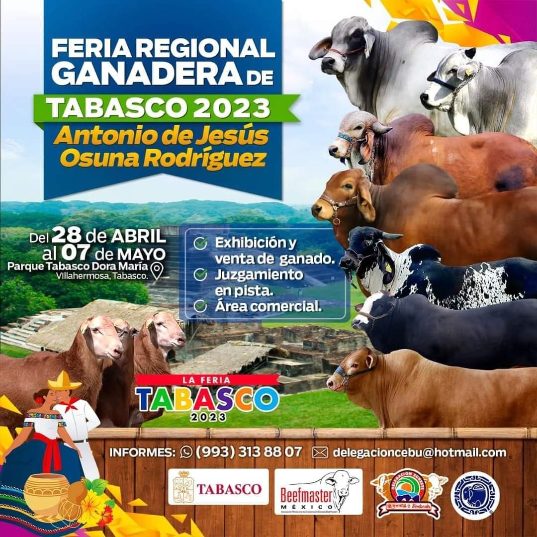 revista_agroreg's tweet photo. #cipa #Chiapas #CNOG #MederiLab
#brangusrojo #SCCL #cerdos #cebumexicano #beefcasttle https://t.co/HJBjDFG3Av