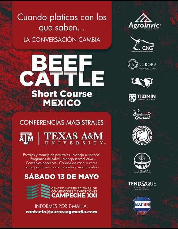 revista_agroreg's tweet photo. #cipa #Chiapas #CNOG #MederiLab
#brangusrojo #SCCL #cerdos #cebumexicano #beefcasttle https://t.co/HJBjDFG3Av