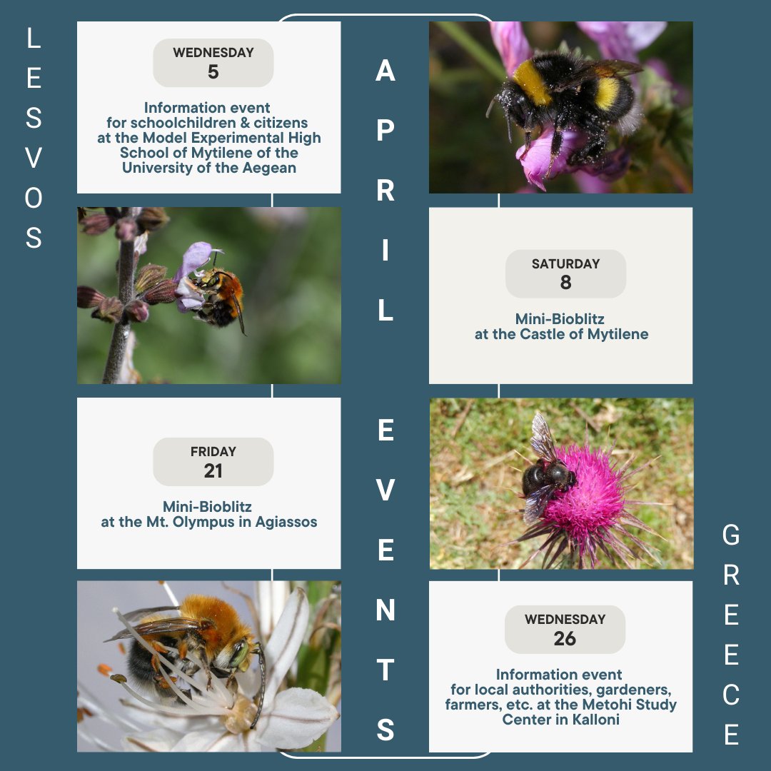 Check out the events for this month in #greece! 🥁 Two information #events and two expert-assisted #citizenscience activities in #natura2000 and #archaelogical sites will be carried out on #lesvosisland. Stay tuned!

#life4pollinators #LIFEproject