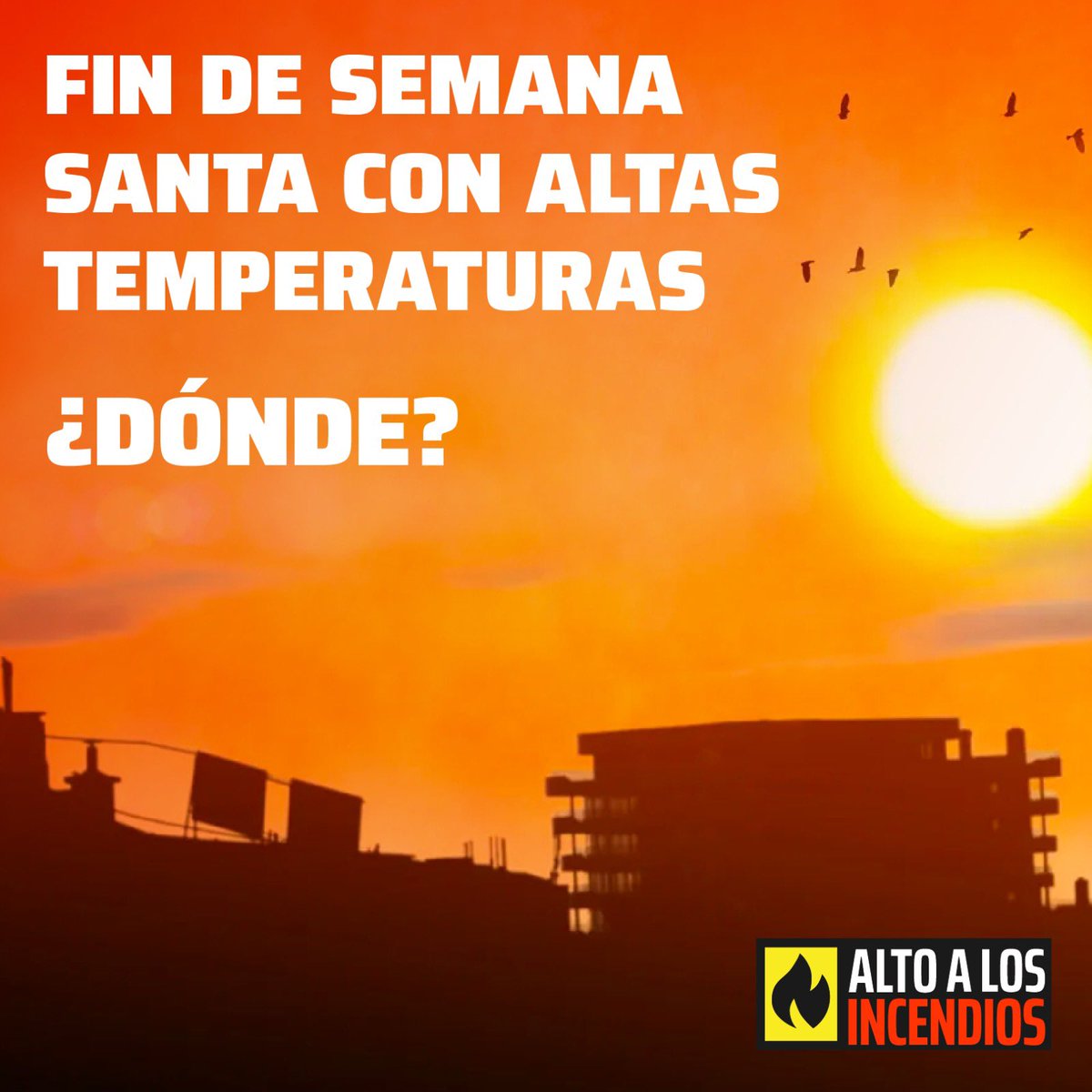 Alto Incendios tweet media