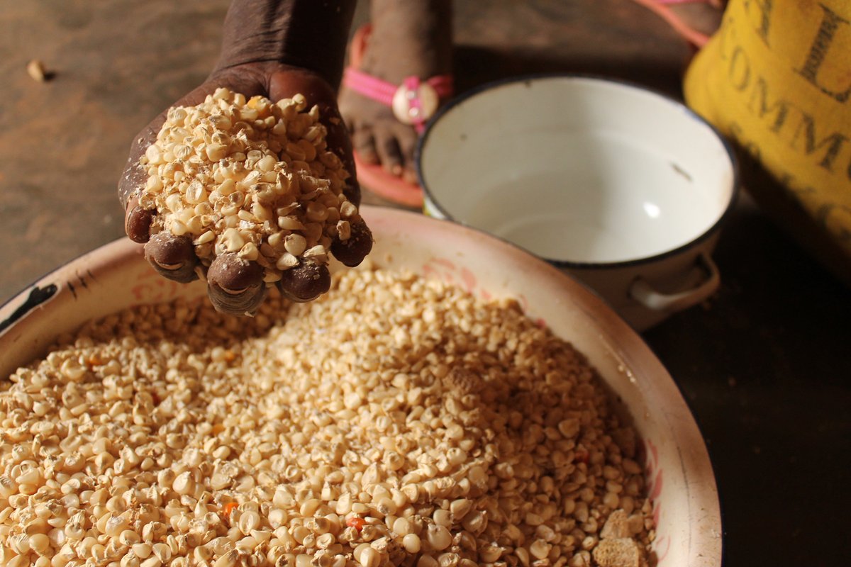 IMFAfrica's tweet photo. The IMF has approved more than $80m in financing support to Burkina Faso.  

This will help 🇧🇫 face urgent balance of payment needs related to the global food crisis, and mitigate the impact of the food shock on the most vulnerable.

https://t.co/DxY2BD7rjn https://t.co/g7gSkpHBsU