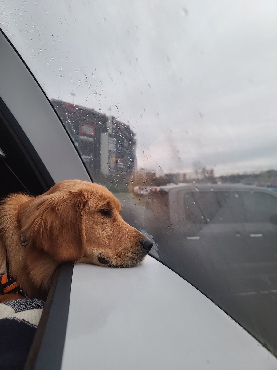 KCharns's tweet photo. It ain't Bristol, if it ain't raining. I'm ready for cars on track tomorrow. I know Hopper is. #BristolMotorSpeedway #NASCAR75 #NascaronFox https://t.co/Ov8f4Izmk8