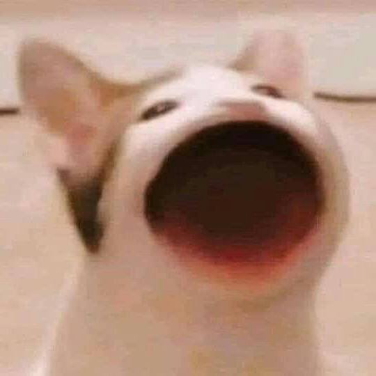 คʕ•ﻌ•ʔค
🧷поиск мью

 ☆ виви !! 07line::she/her 
☆ обязательно посмотрите мой каррд  ⇒ [ wiwwizza.carrd.co ]
☆ ульчу: твайс, айдл, эспа, тхт и ли чеен !!
☆ убедитесь что нам будет комфортно !! 

рт, пожалуйста