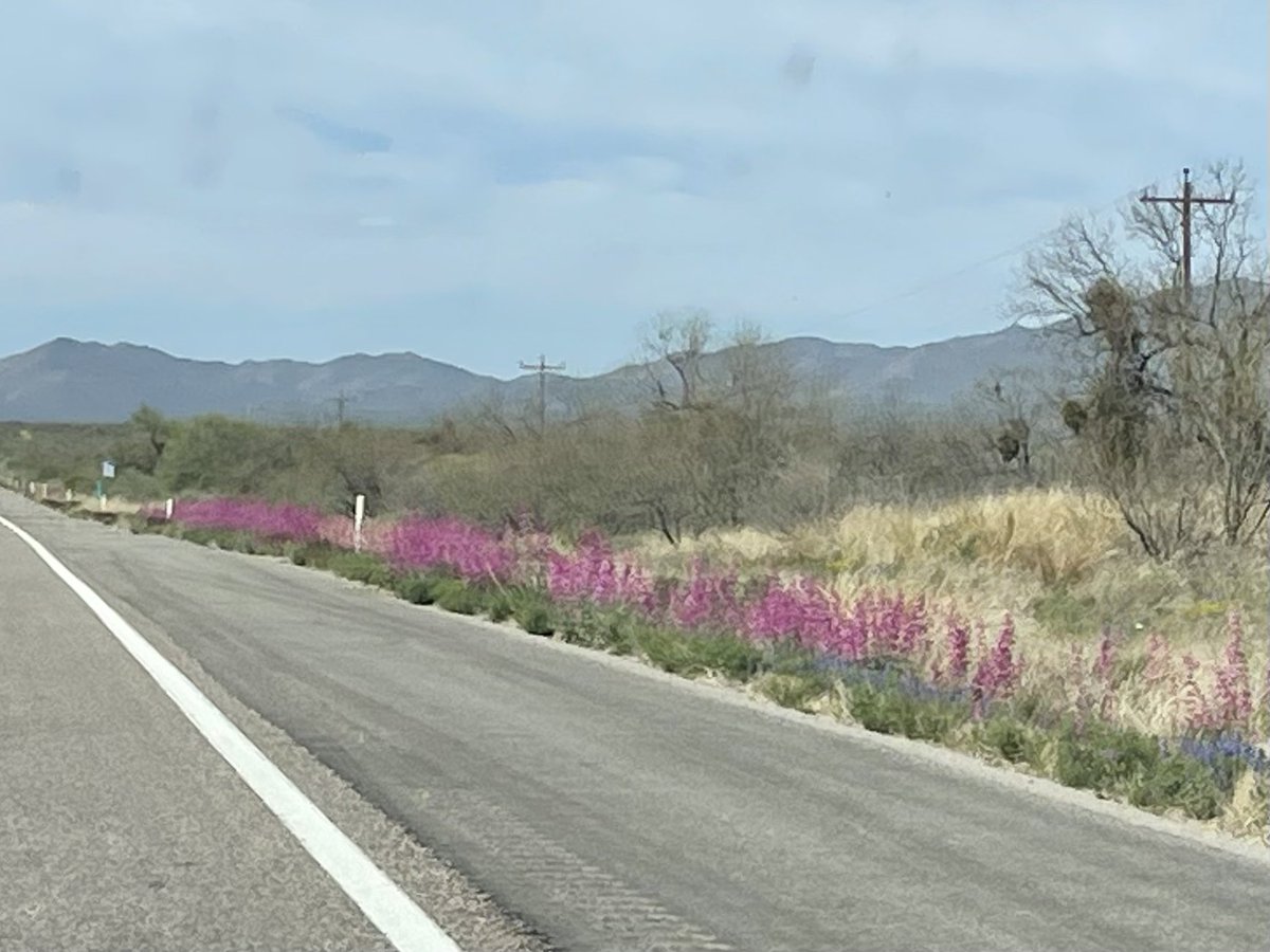 Cindylouwhobaja 🇺🇸 tweet media