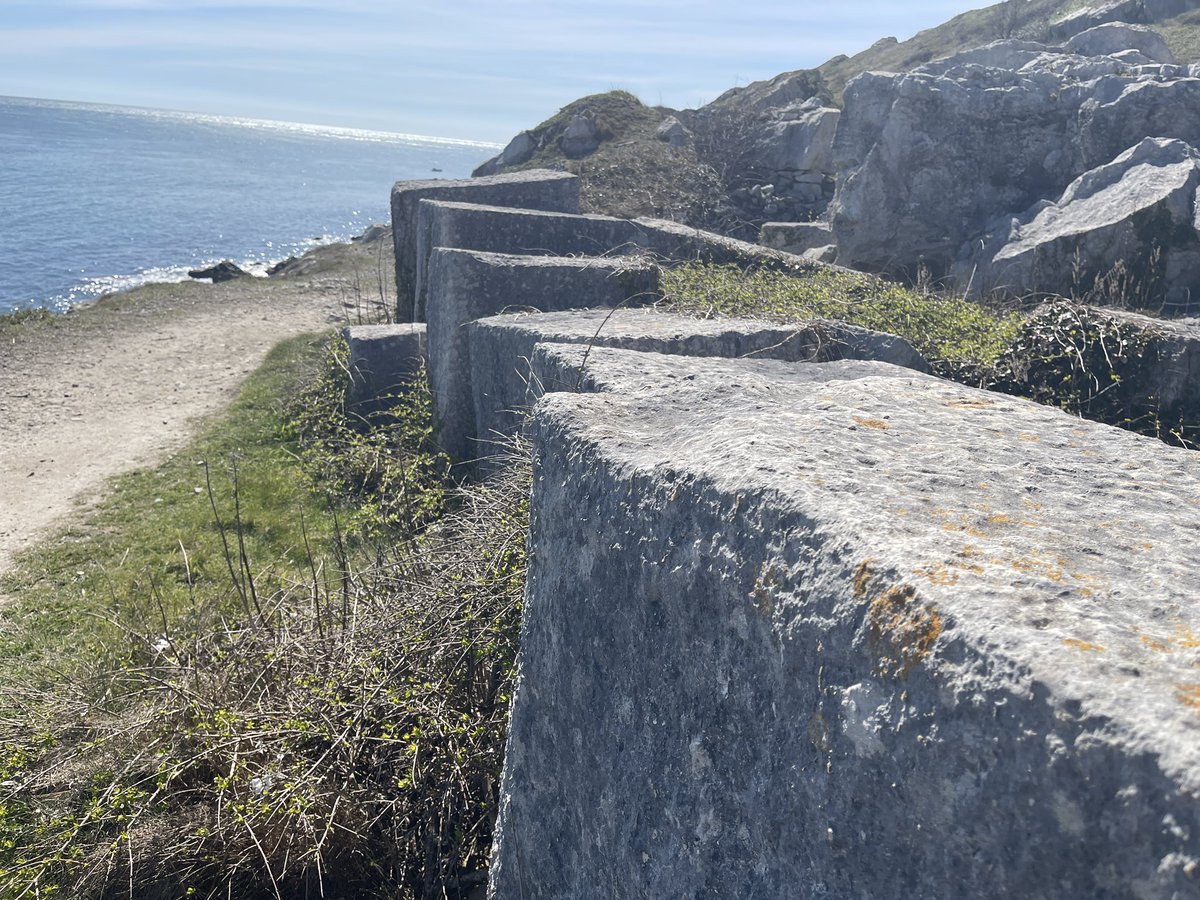 KickLizard7's tweet photo. There is a small possibility that I may have walked around the entirety of the Isle of Portland without actually falling off it. Which is quite some feat/feet when you think about it. And yes, #rescuejack aka The Dark Lord was also in attendance keeping me safe by barking at nothing in particular #Dogs #RescueDogs #DogsOfTwitter