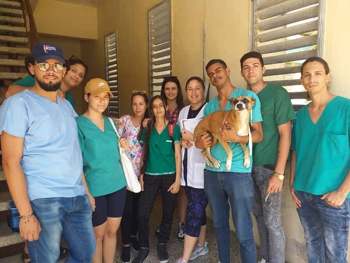 UCLVCU's tweet photo. 🤗 Estudiantes de 3er año de la carrera de Medicina Veterinaria participan en la campaña de vacunación antirrábica en la población de caninos 🐶 y felinos 🐱 de nuestro campus universitario. 
👉 Esta actividad se realiza como parte de la Práctica Laboral Investigativo. https://t.co/NcvYnbhtkE