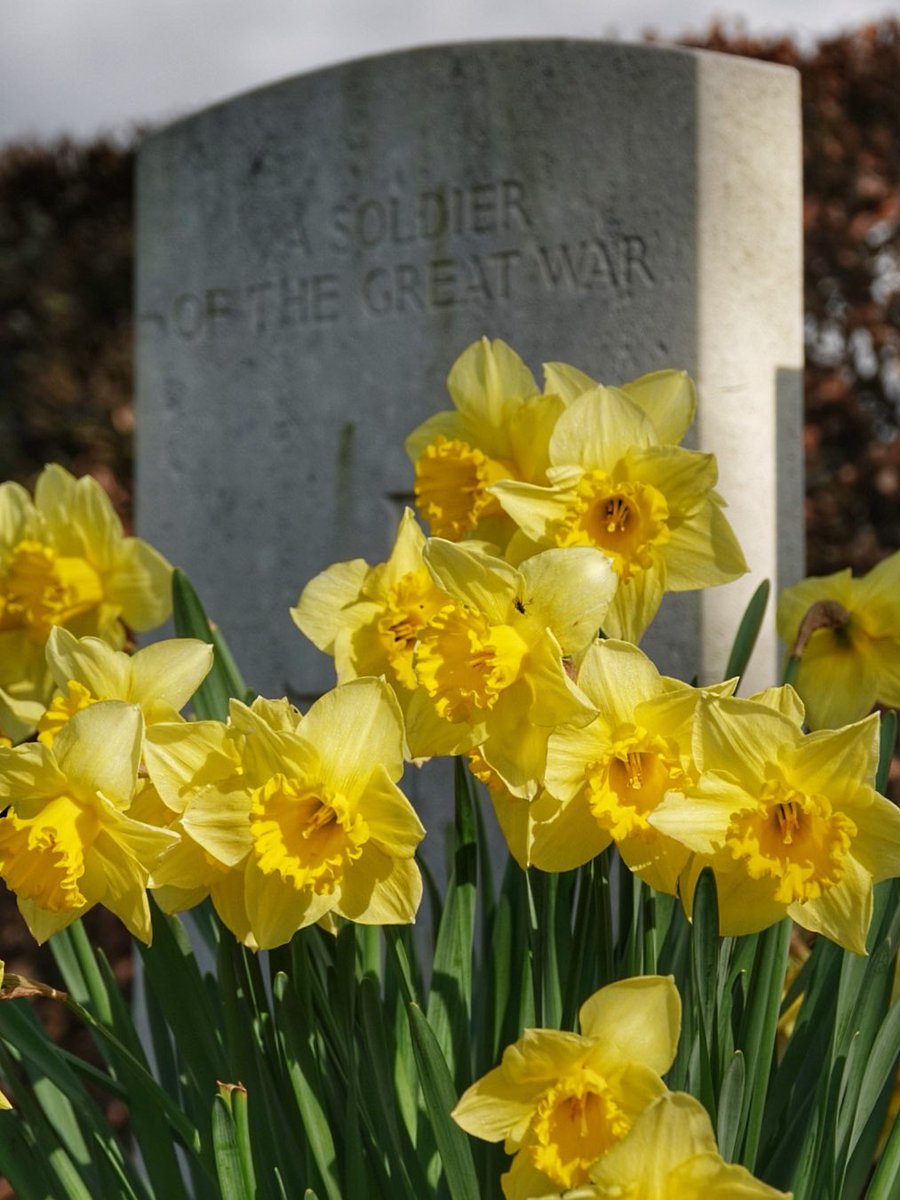 Good to see the blooms out in London Cemetery &amp; Extension, High Wood, this afternoon. #WW1 #Somme