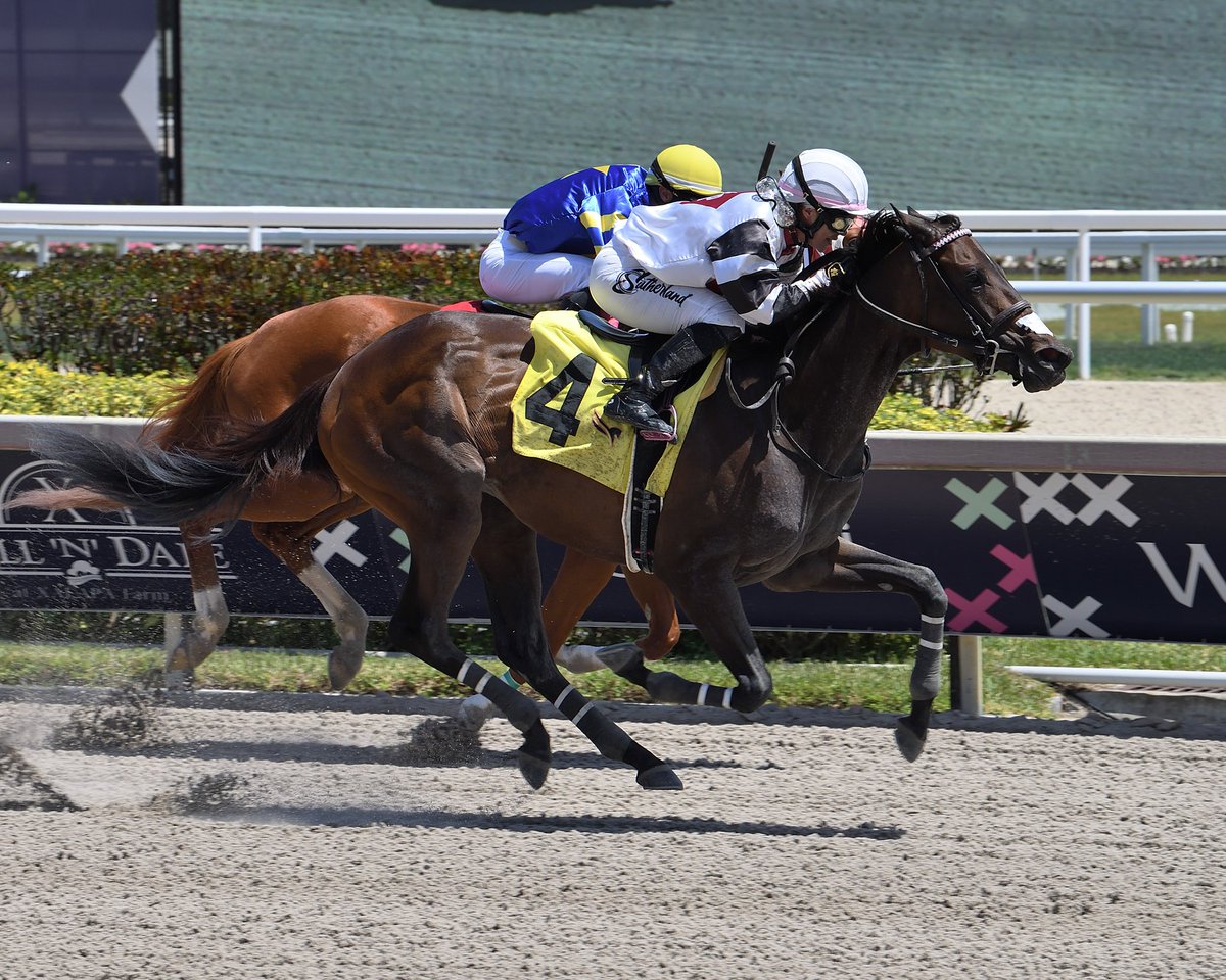 Disco Racing Gulfstream Park on Twitter: