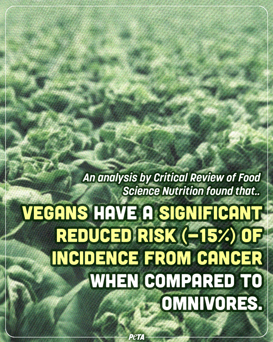 PETA on Twitter "Fruits, vegetables, legumes, nuts & whole grains, are