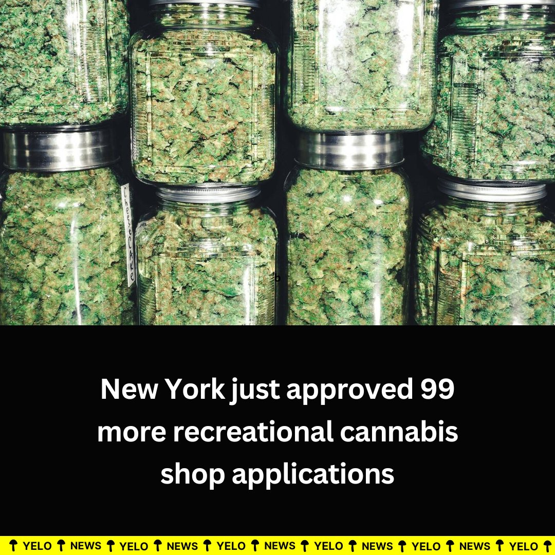On Monday, the New York State Office of Cannabis Management (OCM) awarded 99 more recreational cannabis dispensary licenses, including three in Brooklyn, nine in the Bronx, 21 in Manhattan, 17 in Queens and three in Staten Island.

#yelonews #yelorx #newyork #nyc #legalcannabis