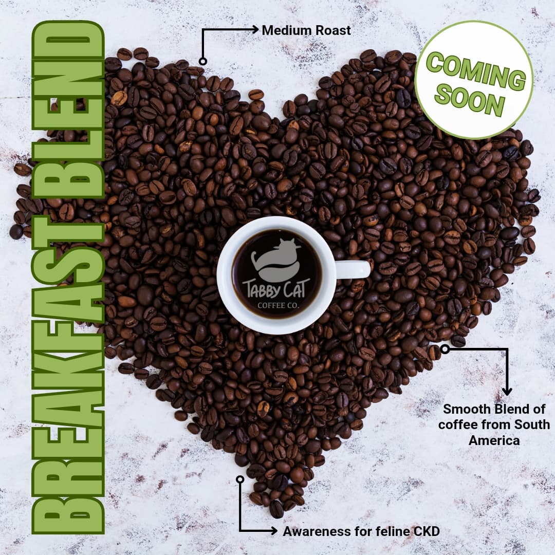 ☕️⭐️🐈 Upcoming new coffee alert!
We will soon be releasing a breakfast blend!

❤️ Medium roast 

❤️ Smooth blend of beans from South America 

❤️ Help raise awareness for CKD (chronic kidney disease)

❤️ Dedicated to my kitty Nefi🌈

#goodcauses #cats #coffee