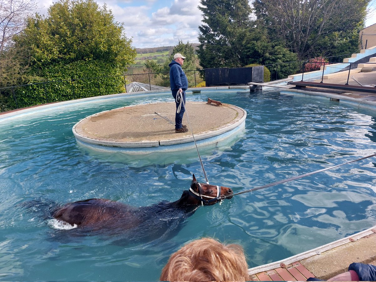 RichM39162405's tweet image. Obviously gutted I wasn't at @hullkrofficial today, but still had a good day at the #Middleham @Racingwelfare Open day with the family.