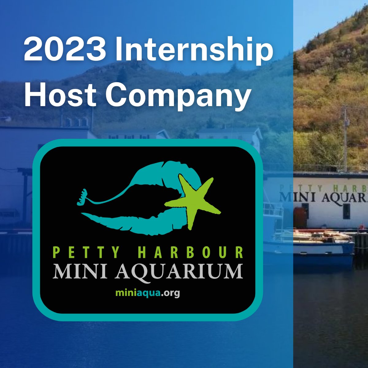Petty Harbour Mini Aquarium is onboard as a host for our 2023 summer high-school internship program!  100% funded six-week on-site placements.  July 10 - August 2023.
Find out more, complete your internship application, or submit a host company EOI:
oceancareersnl.net/programs/summe…