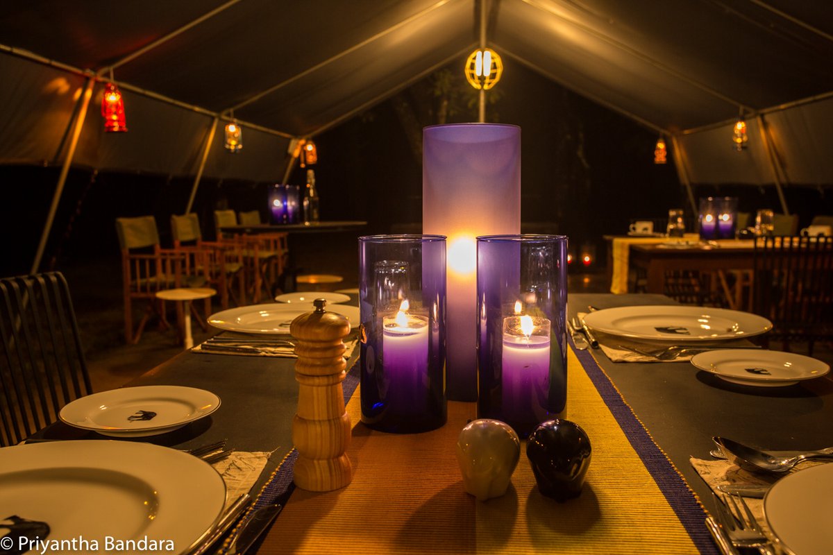 BushWalksCamps's tweet photo. Setting up the restaurant @Ahaspokuna for dinner while we wait for our guests to return from their evening bushwalk is always a pleasure. Each bushwalk trail is unique and the energy shifts as thrilling stories are told in this tastefully decorated shared space.
#holiday #nature https://t.co/rhKANY9zc7