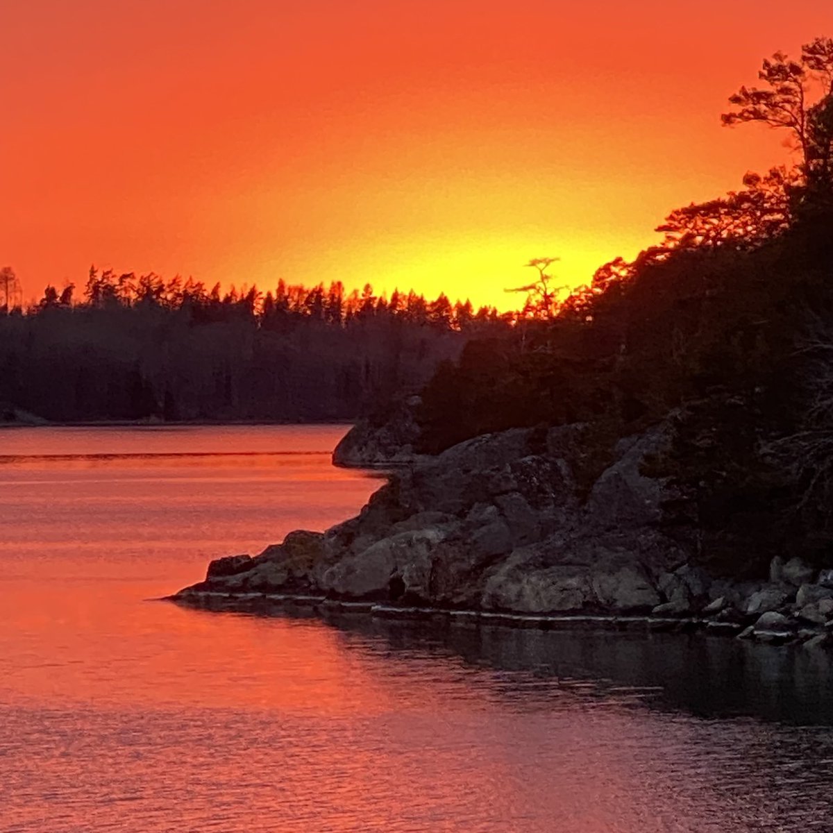 EFenvik's tweet photo. Sitter i soffan i vardagsrummet och funderar på varför dörren till hallen lyser gulröd. Tittar ut på altanen och får svaret, magisk solnedgång. Hör ejdrarna uppvaktar varandra på fjärden. Det är vår👍😊 https://t.co/3Oci8StJYn