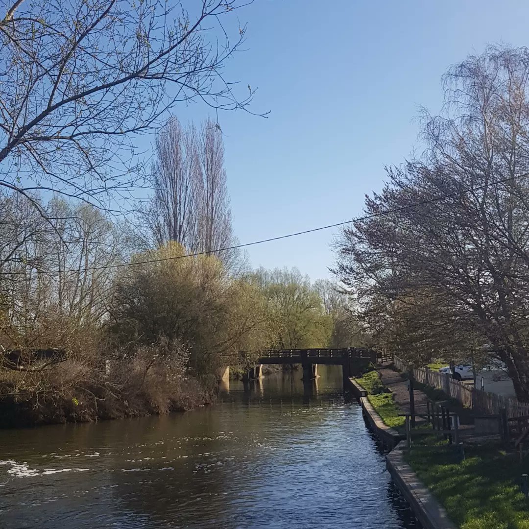 CrafTEAtime's tweet photo. A beautiful day today! https://t.co/j4hVH8XgJh