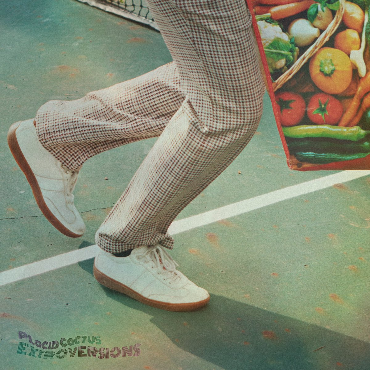 placidcactus's tweet photo. LP out May 5 !!!!!!!!!!! 😲😲 https://t.co/qTi6jh2rIO