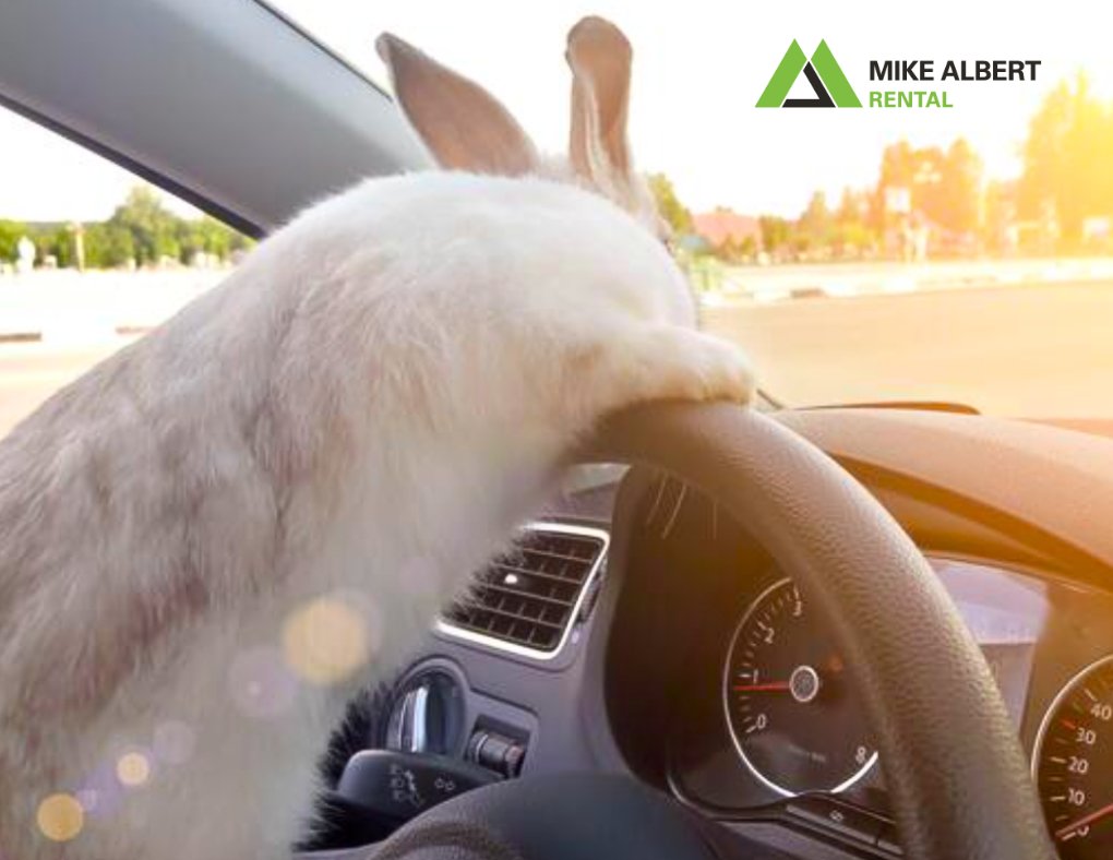 MAMobility's tweet photo. Still looking for a ride to hop around town this Easter weekend? Look no further than Mike Albert Rental. Our cars are "egg-cellent"... are we taking the Easter puns too far? Oh, well. Hop on over to our website and book your rental today! 🐰🚗🌷 https://t.co/LsWf5bGW09