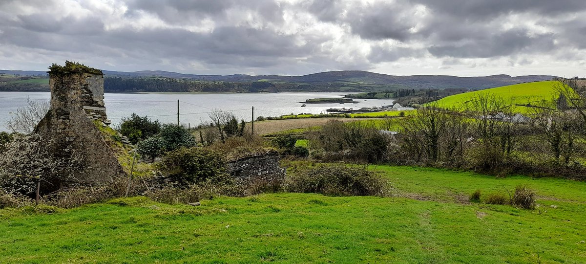 Stunning @whiddyisland Tranquility, beauty & wild nature at the end of a very short boat trip with the lovely Whiddy Ferries 🌿💙✨️ #whiddyisland #westcork #bantry #sheepsheadway #bearaway #EasterWeekend #Easter2023