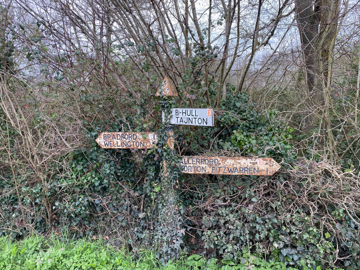 Camouflaged #fingerpost for #fingerpostfriday #somersetwalks #bootsonmiles