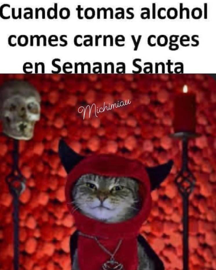 ElJediGris's tweet photo. Ahí humildemente 😌: https://t.co/6EziKeDIJG