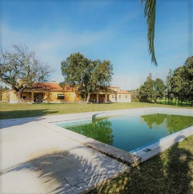urbamarkt's tweet photo. 🌞Campaña #MediterraneanDream
Finca en Vila Chã de Ourique, Portugal
1.200.000  EUR + 170000m² + 🏊‍♀️🌻🏇
https://t.co/3uAWD7tkx6 
#realestate #expatlife #Home #bienesraíces #finca #property #establos https://t.co/kyOjfWLZKU