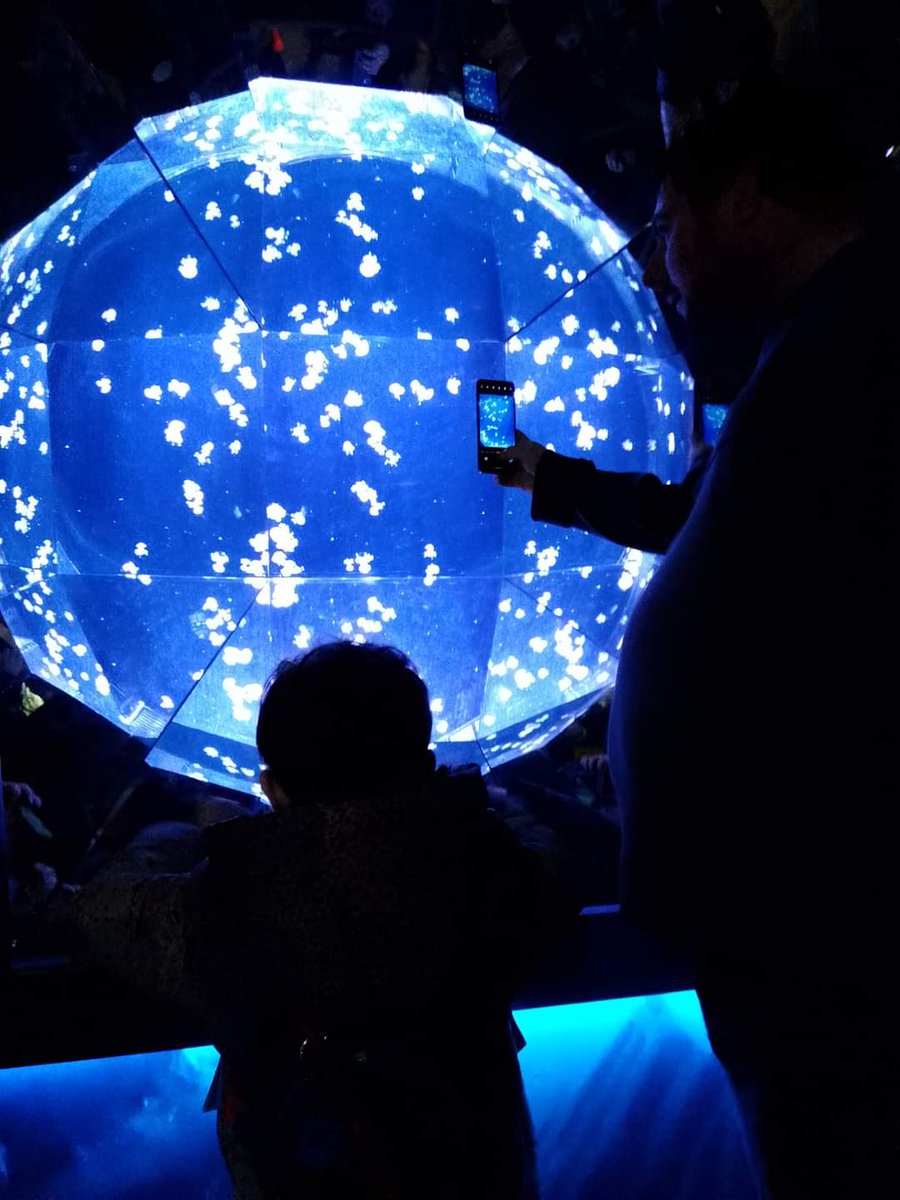 CoastFamilies's tweet photo. On Wednesday we went to @TheDeepHull with over 100 members all had a great time https://t.co/tXLZgLi02W