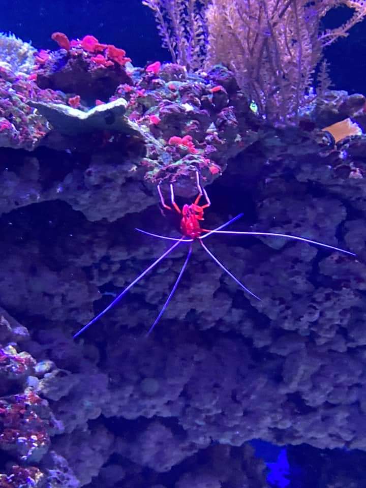 CoastFamilies's tweet photo. On Wednesday we went to @TheDeepHull with over 100 members all had a great time https://t.co/tXLZgLi02W
