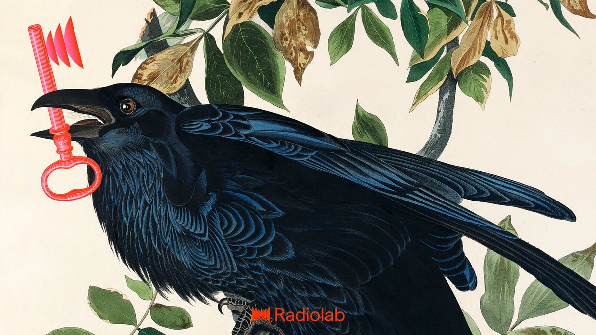 Radiolab tweet media